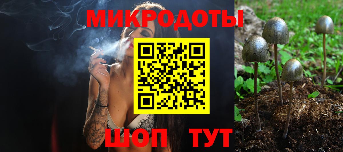Псилоцибиновые грибы Psilocybe  Вход с VPN  купить закладку  Богданович 